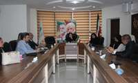 نشست مشترک معاون غذا و دارو با انجمن داروسازان استان البرز  